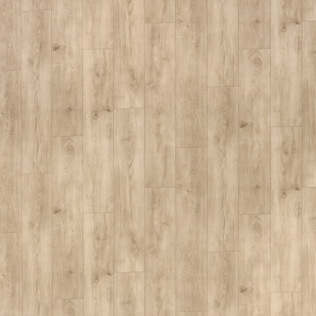 Линолеум Tarkett Idylle Nova Motion 2 (3м)